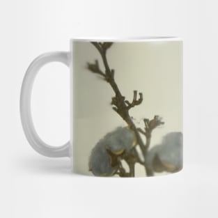 Macro view of natural grey blue cotton balls with three twigs leaning against the white wall  in the corner Mug